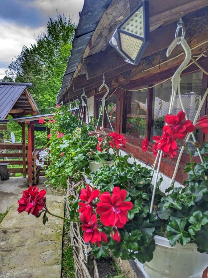 Cabana „Stana Din Deal” Provita de Sus Eksteriør billede